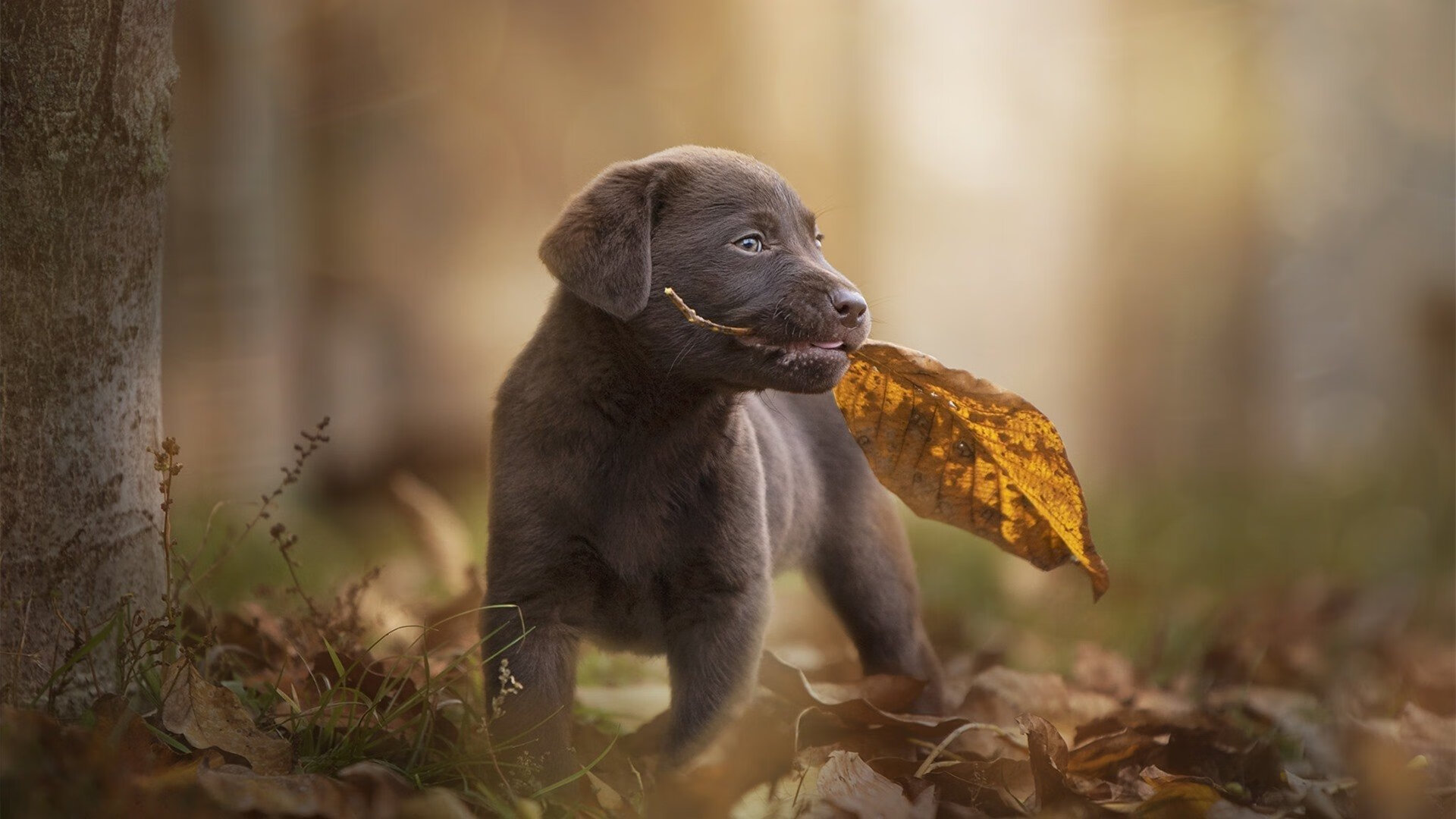 _特色运动夜市:体验多样体育娱乐_,体育夜市方案