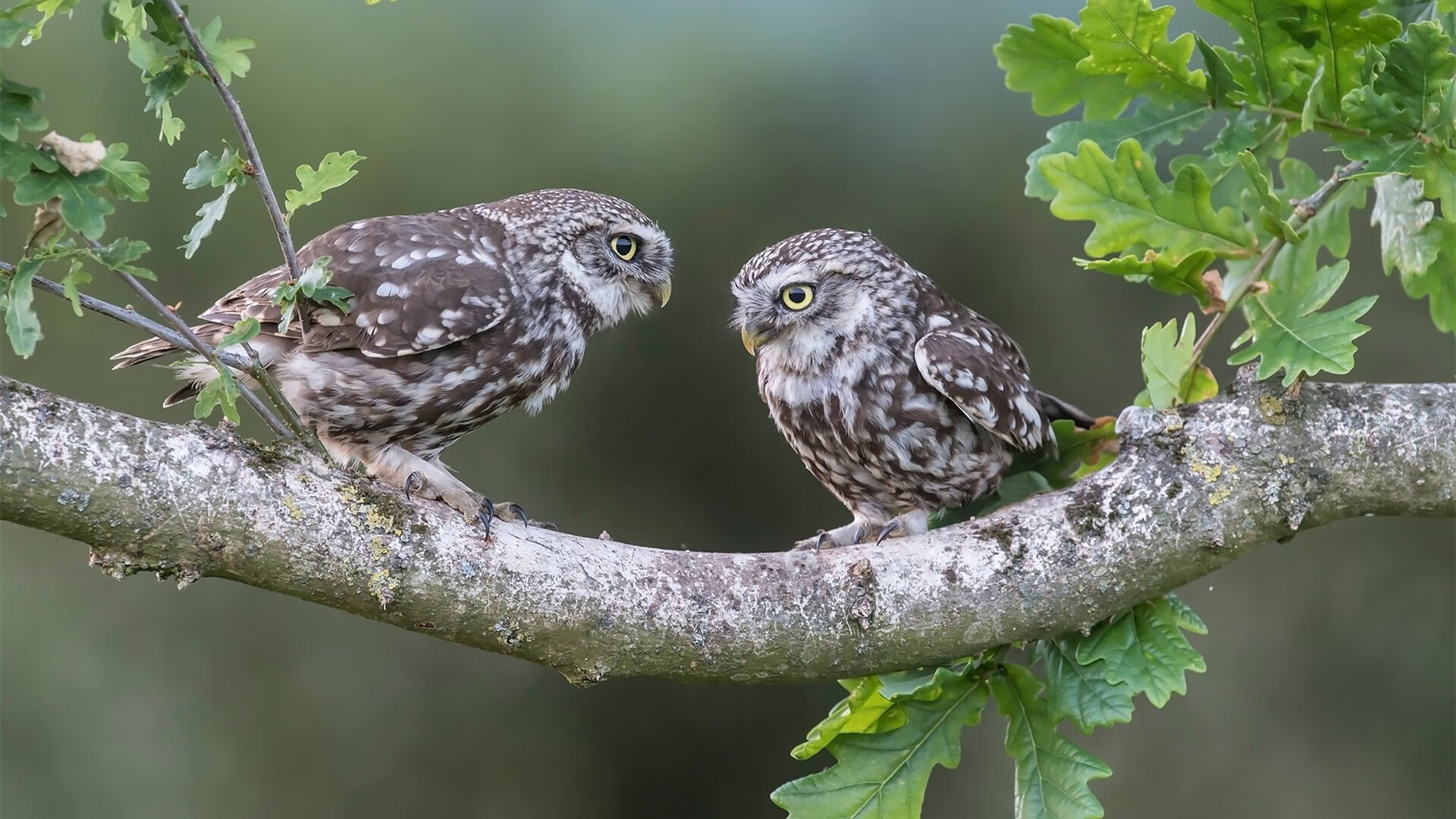 《《绝地求生》优化提升，游戏体验更流畅》，绝地求生优化软件叫啥
