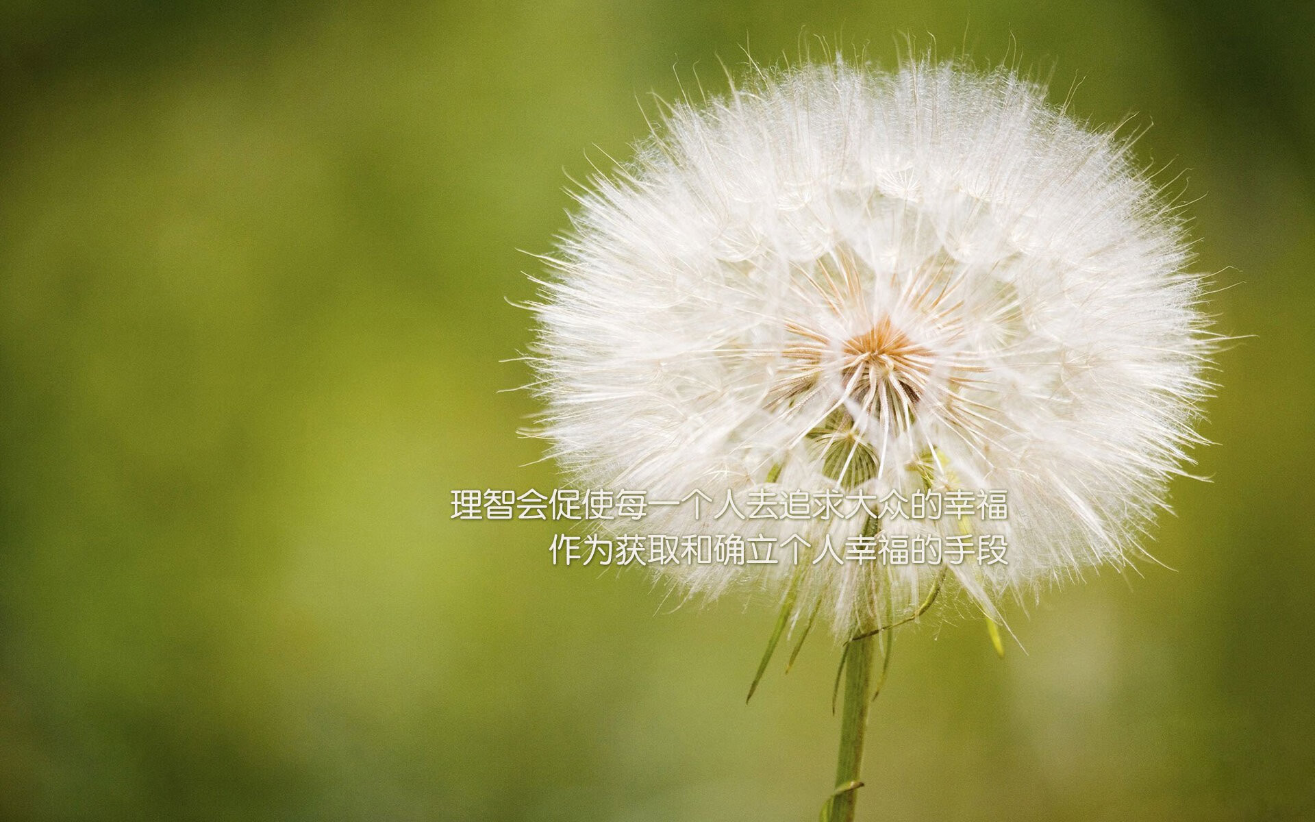 九游社区-中超球队与外籍教练签约，引进先进理念，中超外国教练